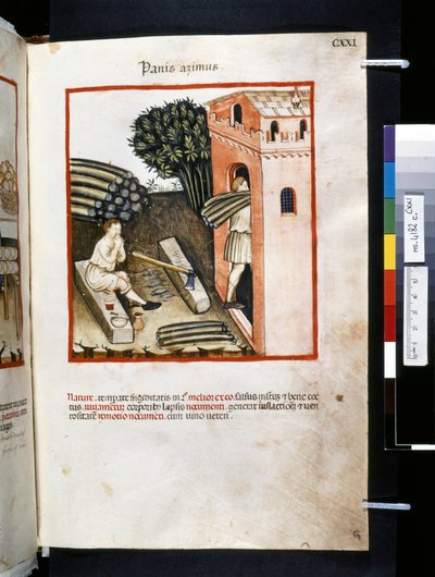 Theatrum sanitatis de Ububchasym de Baldach: "Panis Azimus", primera década del siglo XIV (miniatura) de Giovannino de