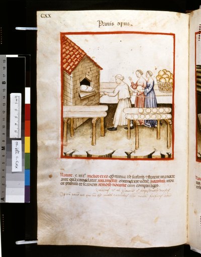 Theatrum sanitatis de Ububchasym de Baldach: "Panis Op Us", primera década del siglo XIV (miniatura) de Giovannino de