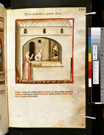 Theatrum sanitatis de Ububchasym de Baldach: 