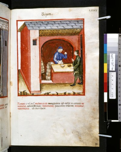 Theatrum sanitatis de Ububchasym de Baldach: "Rizon", primera década del siglo XIV (miniatura) de Giovannino de