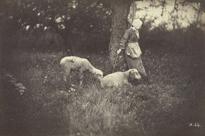 Pastora apoyada en un árbol, con dos ovejas, 1870 de Giraudon