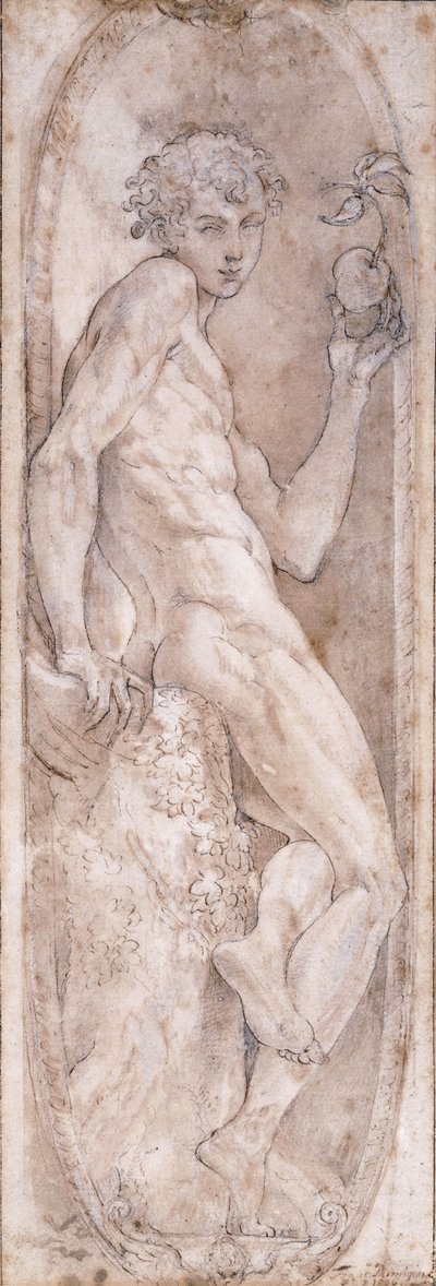 Adán sosteniendo una manzana, sentado, en un medallón, c.1547-1553 de Girolamo Mazzola Bedoli