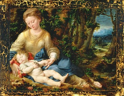 La Virgen y el Niño en un paisaje, c.1536-37 de Girolamo Mazzola Bedoli