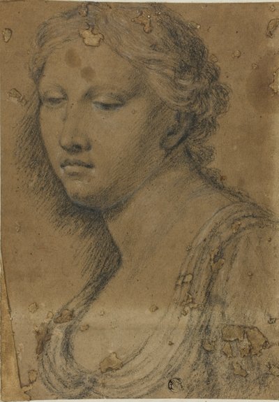 Busto de Mujer de Girolamo da Carpi