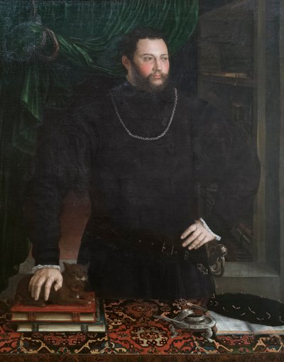 Retrato de un caballero de Girolamo da Carpi