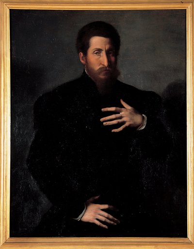 Retrato de un hombre viril de Girolamo da Carpi