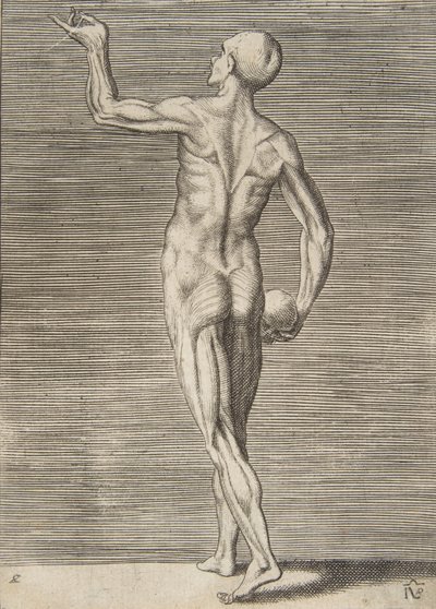 Hombre visto desde atrás, sosteniendo una calavera en su mano derecha, siglo XVI de Giulio Bonasone