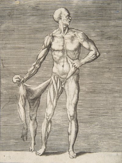 Hombre visto de frente, sosteniendo la piel de su brazo y pierna derecha en su mano derecha de Giulio Bonasone