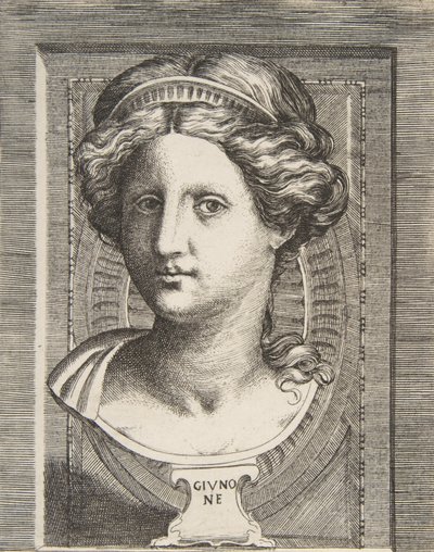 Cabeza esculpida de Juno, ca 1531-76 de Giulio Bonasone