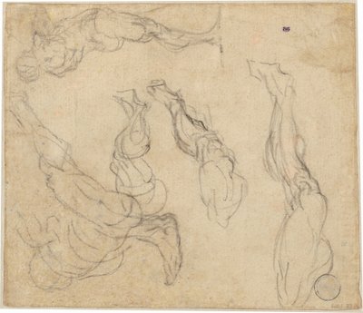 Cabeza de un niño (verso) de Giulio Campagnola