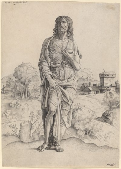 San Juan Bautista de Giulio Campagnola