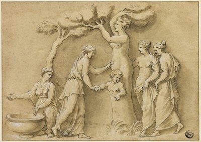 Nacimiento de Adonis de Giulio Romano