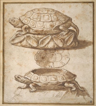 Diseño para una caja con tapa en forma de tortuga, mostrada abierta y cerrada de Giulio Romano