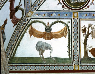 La Cámara con Friso de Amorini (detalle de un avestruz) de Giulio Romano