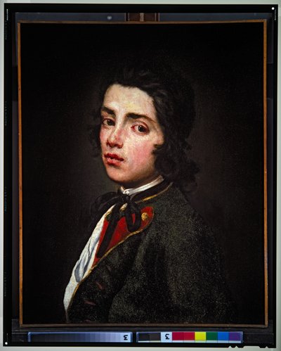 Retrato de un joven, sin fecha (lienzo) de Giuseppe (1655 1743) Ghislandi