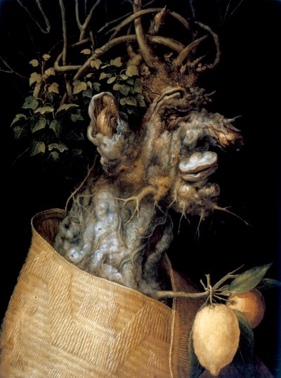 Invierno, 1563 de Giuseppe Arcimboldi