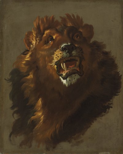 Lion de Giuseppe Baldrighi