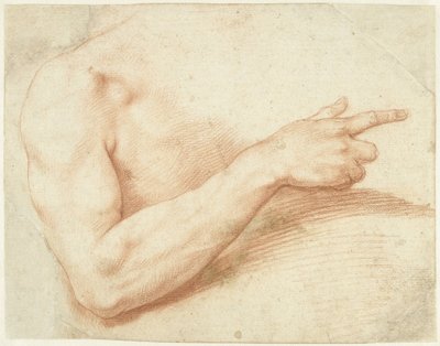 Estudio de un brazo de Giuseppe Cesari