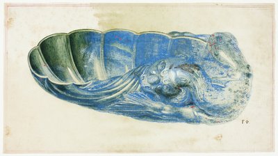 Concha azul y verde con cabeza de dragón de Giuseppe Grisoni