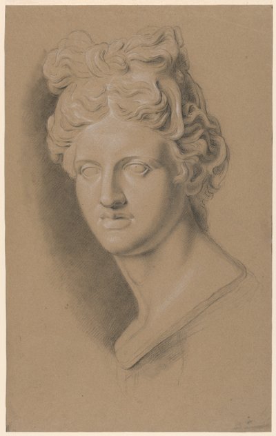 Estudio académico de un busto femenino clásico de Giuseppe Longhi