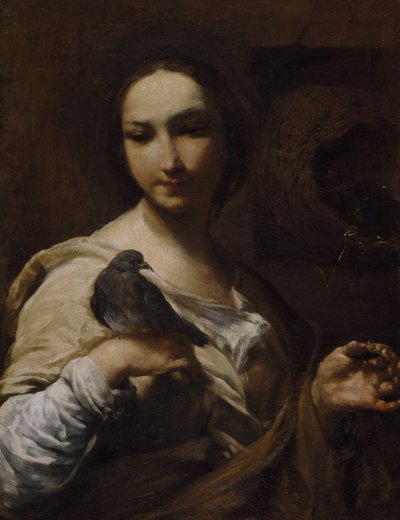 Niña Sosteniendo una Paloma, 1721-27 de Giuseppe Maria Crespi