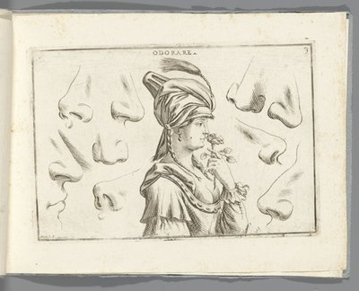 Oler Odorare (título sobre el objeto) de Giuseppe Maria Mitelli