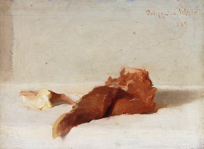 Carne de Giuseppe Pellizza da Volpedo