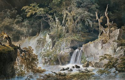 Paisaje con cascada de Giuseppe Pietro Bagetti