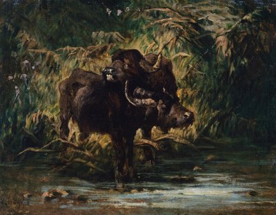 Búfalos jóvenes de Giuseppe Raggio