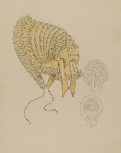 Sombrero de Gladys Cook