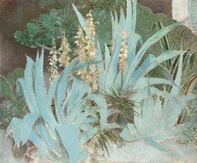 Cacto (óleo sobre lienzo) de Glyn Warren Philpot