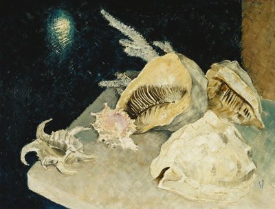 Conchas de Glyn Warren Philpot