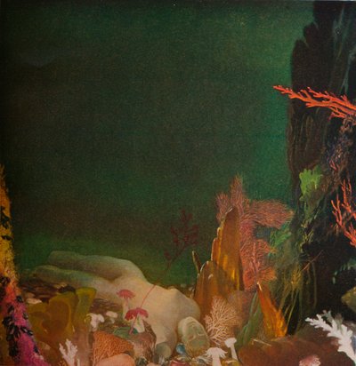 Bajo el mar de Glyn Warren Philpot