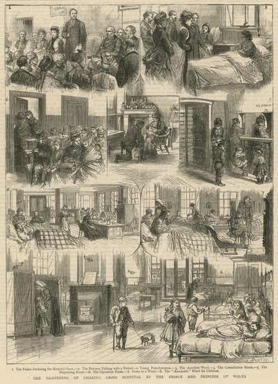 Reapertura del Hospital de Charing Cross por los Príncipes de Gales (grabado) de Godefroy Durand