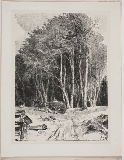 Tala de árboles de Godfred Christensen