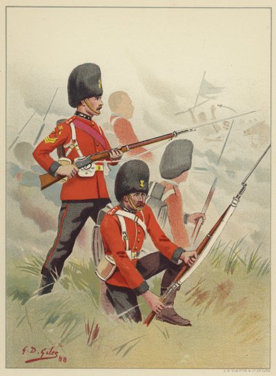 El 87º, Princess Victorias (Royal Irish Fusiliers) de Godfrey Douglas Giles
