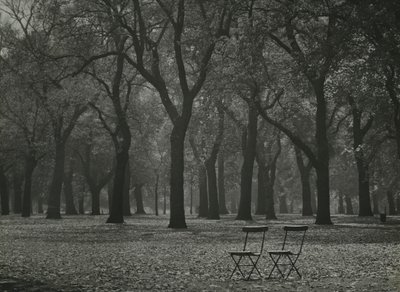 Árboles otoñales en Hyde Park, Londres de Godfrey Macdominic