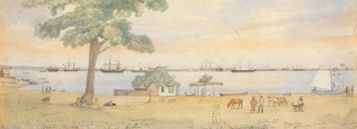 Greytown de Godfrey Thomas Vigne