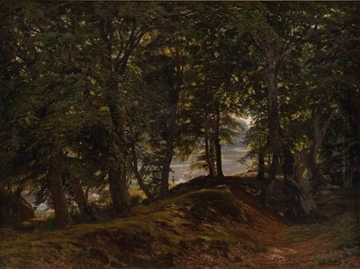 Un lugar sombreado en Hestehave cerca de Frederiksborg de Godtfred Rump