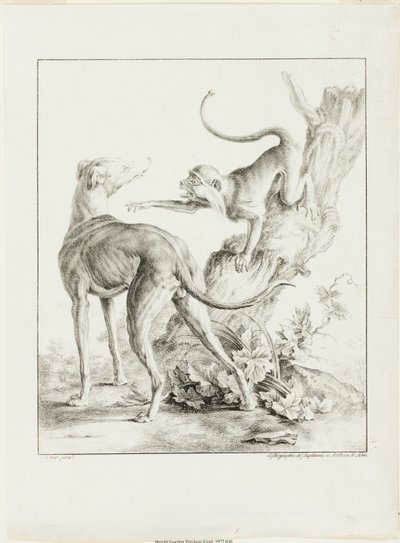 Perro y Mono de Gottfried Engelmann