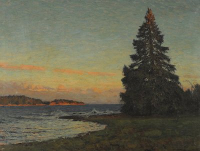 El Abeto de Gottfried Kallstenius