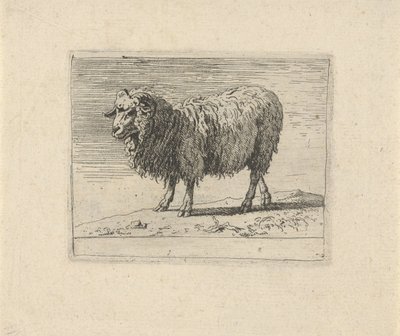 Ram
Diverse dieren (título de la serie) de Govert van der Leeuw