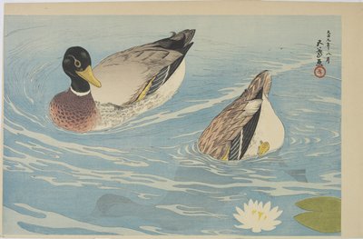 Patos, agosto de 1920 de Goyo Hashiguchi
