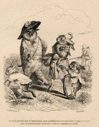 Deux petits lievres avec leur grande soeur arretes par un hibou dans un champ de Grandville