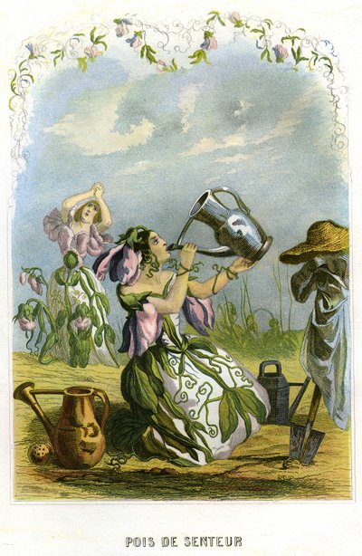 Ilustración para "Les Fleurs Animees de Grandville (1803 47)