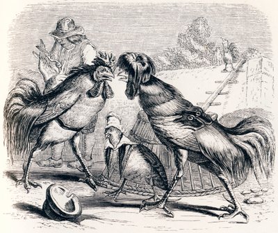 La perdiz y los dos gallos (La perdrix et les deux coqs) - Fábulas de La Fontaine de Grandville