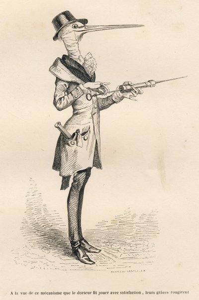 Cigüeña como médico manipulando un enema. Viñetas ilustradas por JJ Granville. Grabado firmado Andrew, Best y Leloir en la parte titulada "Penas de corte de una gata inglesa" escrito por Honoré de Balzac en "Escenas de la vida privada y pública de los anim de Grandville