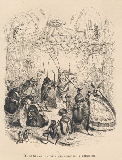Concierto de insectos en un baile. Viñetas ilustradas por JJ Granville. Grabado firmado Godard en la parte titulada "Las aventuras de una mariposa" escrito por PJ Stahl en "Escenas de la vida privada y pública de los animales". París, J. Hetzel y Paulin de Grandville