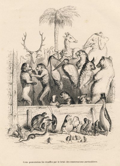 Conversación entre animales. Vignettes ilustradas por JJ Granville. Grabado firmado Breviere en el prólogo titulado "Resumen parlamentario" escrito por PJ Stahl en "Escenas de la vida privada y pública de los animales". París, J. Hetzel y Paulin de Grandville