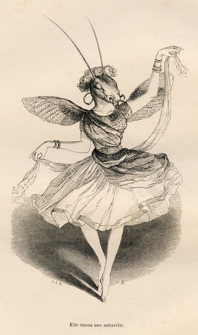 Ella bailó una saltarela. Viñetas ilustradas por JJ Granville. Grabado firmado por Andrew, Best y Leloir en la parte titulada "Las aventuras de una mariposa" escrito por PJ Stahl en "Escenas de la vida privada y pública de los animales". París, J. Hetzel y de Grandville